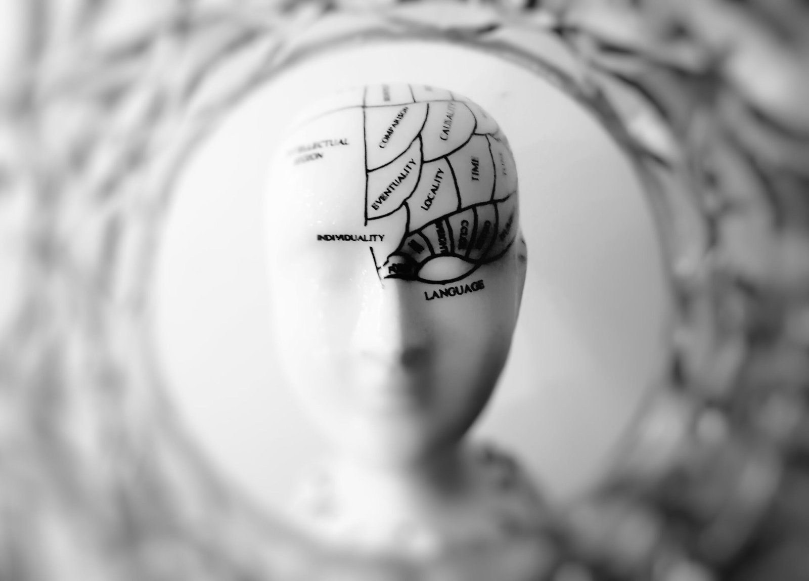 Vintage phrenology head model representing brain science and depression research